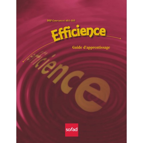 461-165 – Efficience