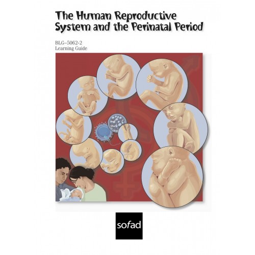 BLG-5062-2 – The Human Reproductive System and Perinatal Period