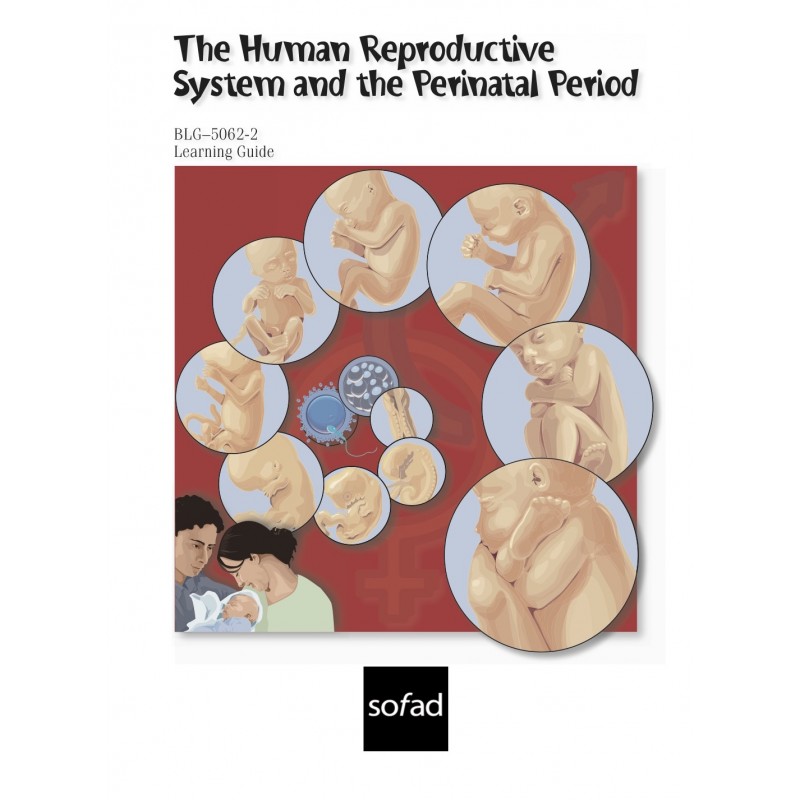 BLG-5062-2 – The Human Reproductive System and Perinatal Period